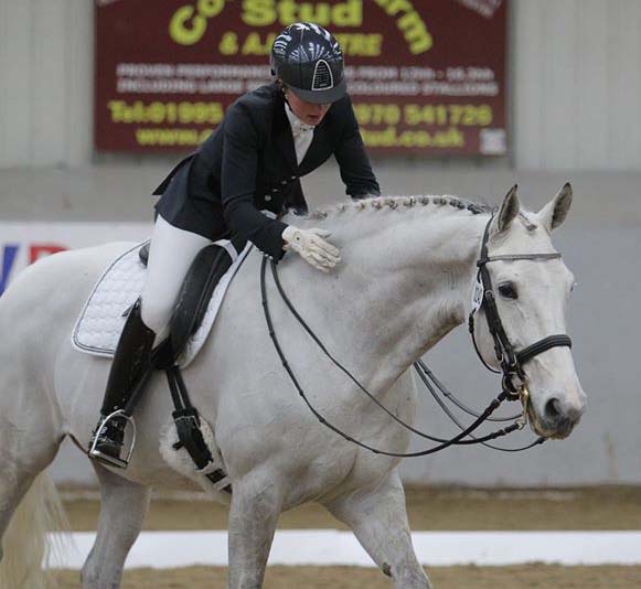 Dressage Trainers